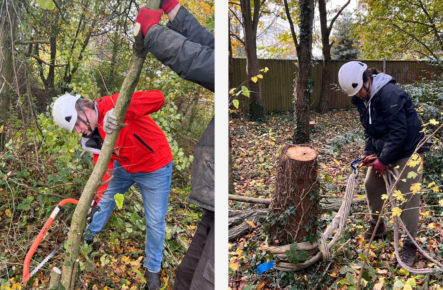 two Allies employees get stuck into coppicing