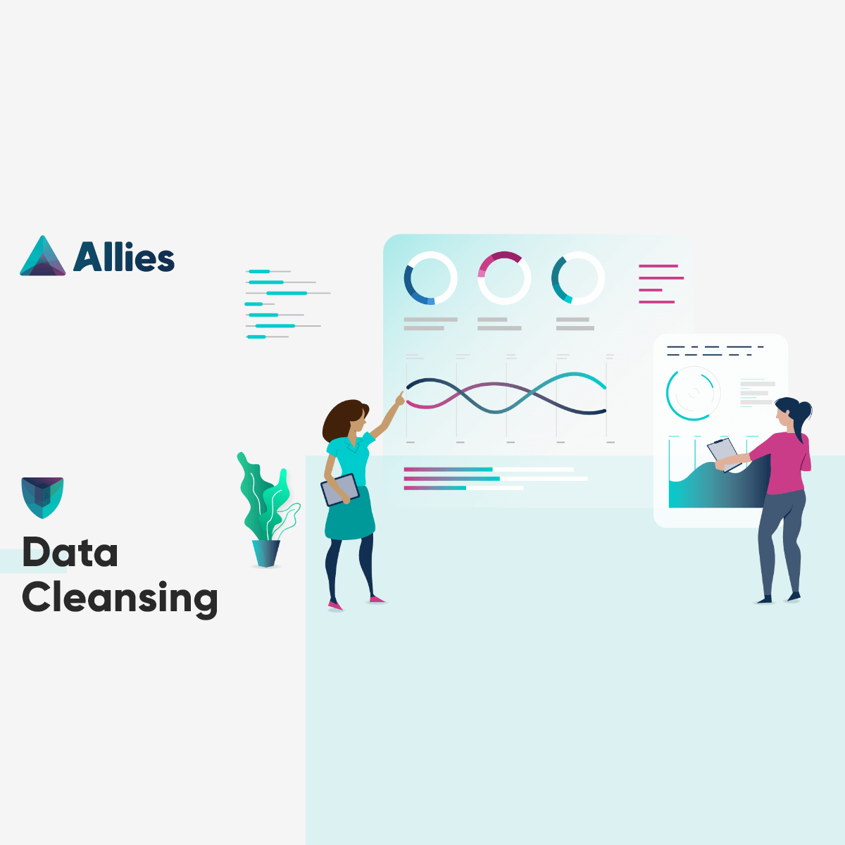 Data Cleansing - Allies Computing